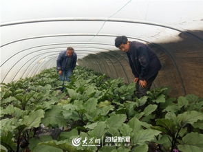 把准脉拔穷根 德州实招迭出打通精准扶贫 最后一公里