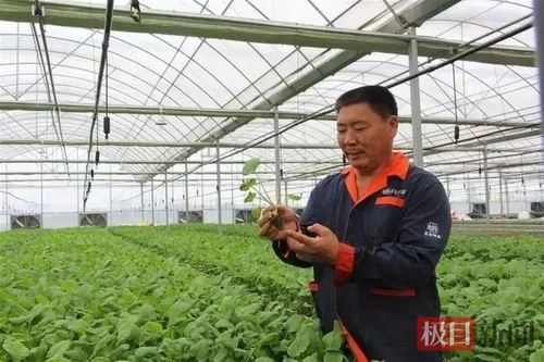 湖北云梦县 菜博士 刘四田荣获 全国农业农村劳动模范 称号