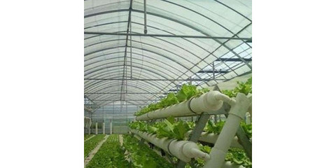 供应蔬菜大棚保温被_蔬菜大棚建设_温室大棚建设
