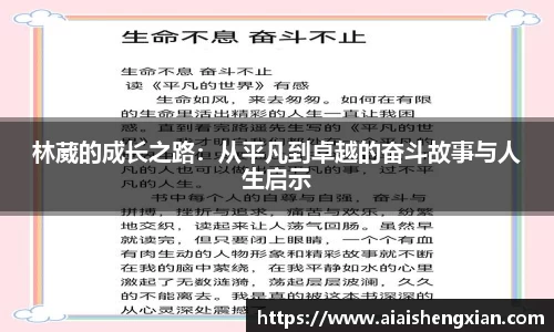 j9九游会