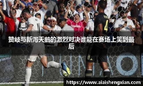 赞岐与新泻天鹅的激烈对决谁能在赛场上笑到最后